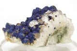 Vivid-Blue Azurite Encrusted Quartz Crystals - China #213817-1